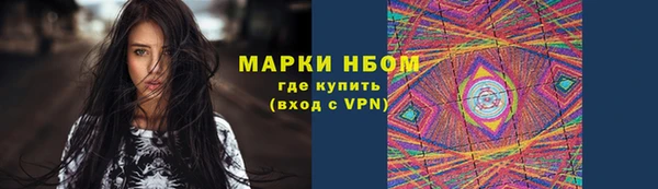 мдпв Елабуга