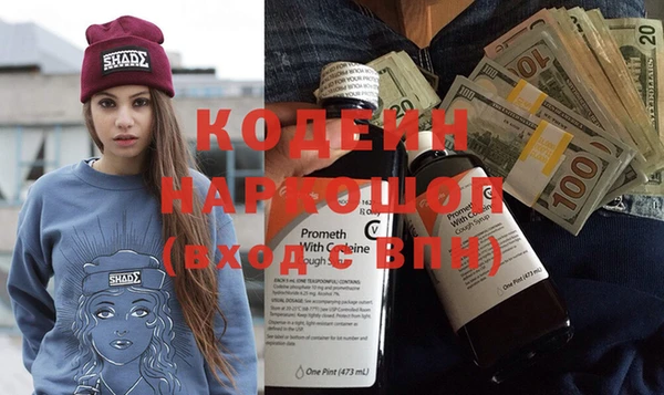 мдпв Елабуга