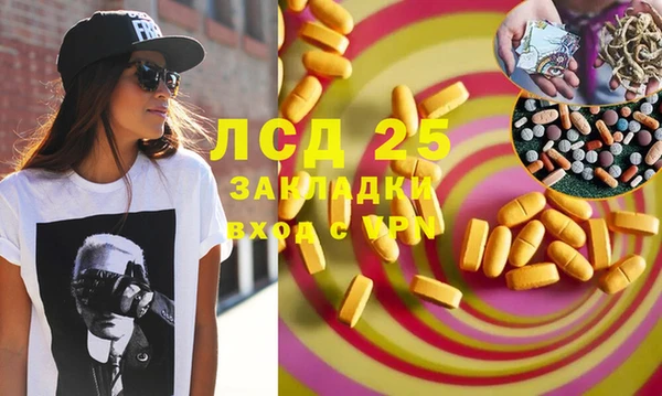 мдпв Елабуга