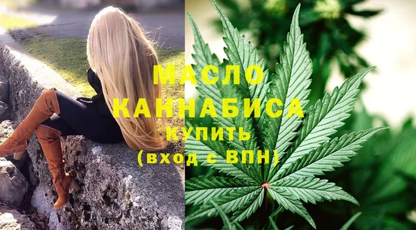 мдпв Елабуга