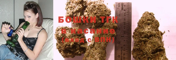 мдпв Елабуга