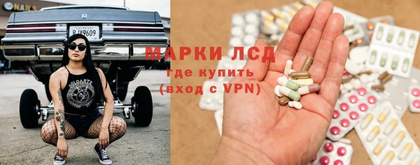 мдпв Елабуга